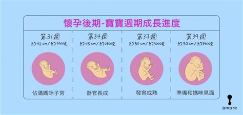 懷孕|【懷孕週期症狀】新手媽咪必讀！40週寶寶成長進度、。